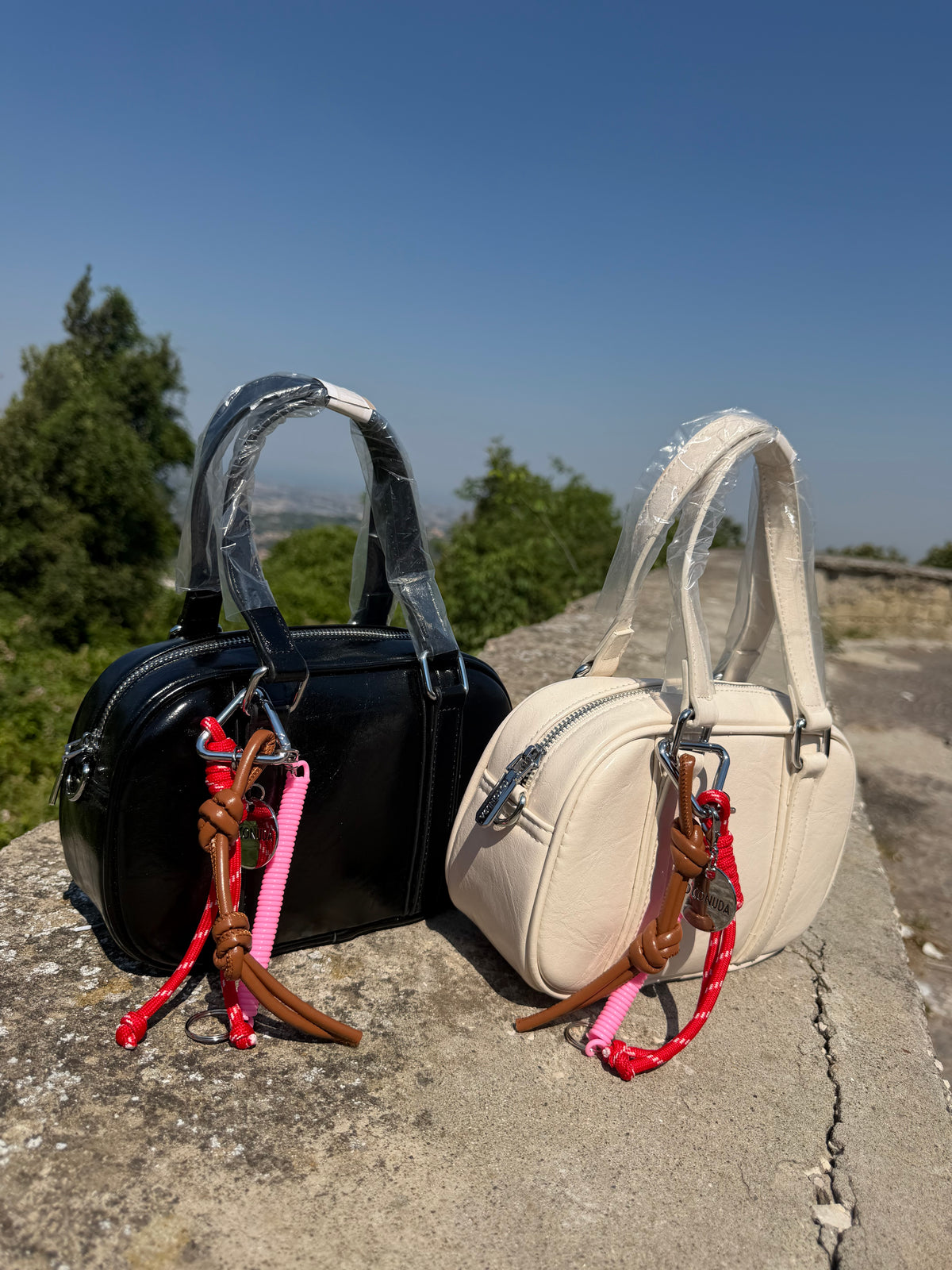BAG Lady